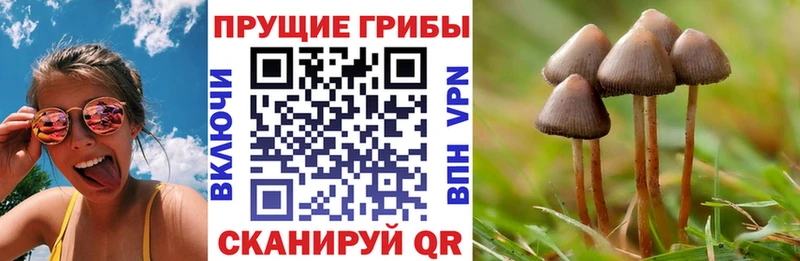 как найти закладки  Саранск  Псилоцибиновые грибы Magic Shrooms 