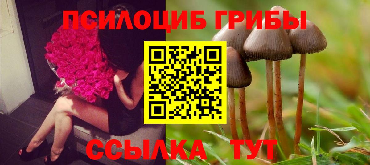 Псилоцибиновые грибы прущие грибы  продажа наркотиков  Вход с VPN  Саранск  Псилоцибиновые грибы MAGIC MUSHROOMS 